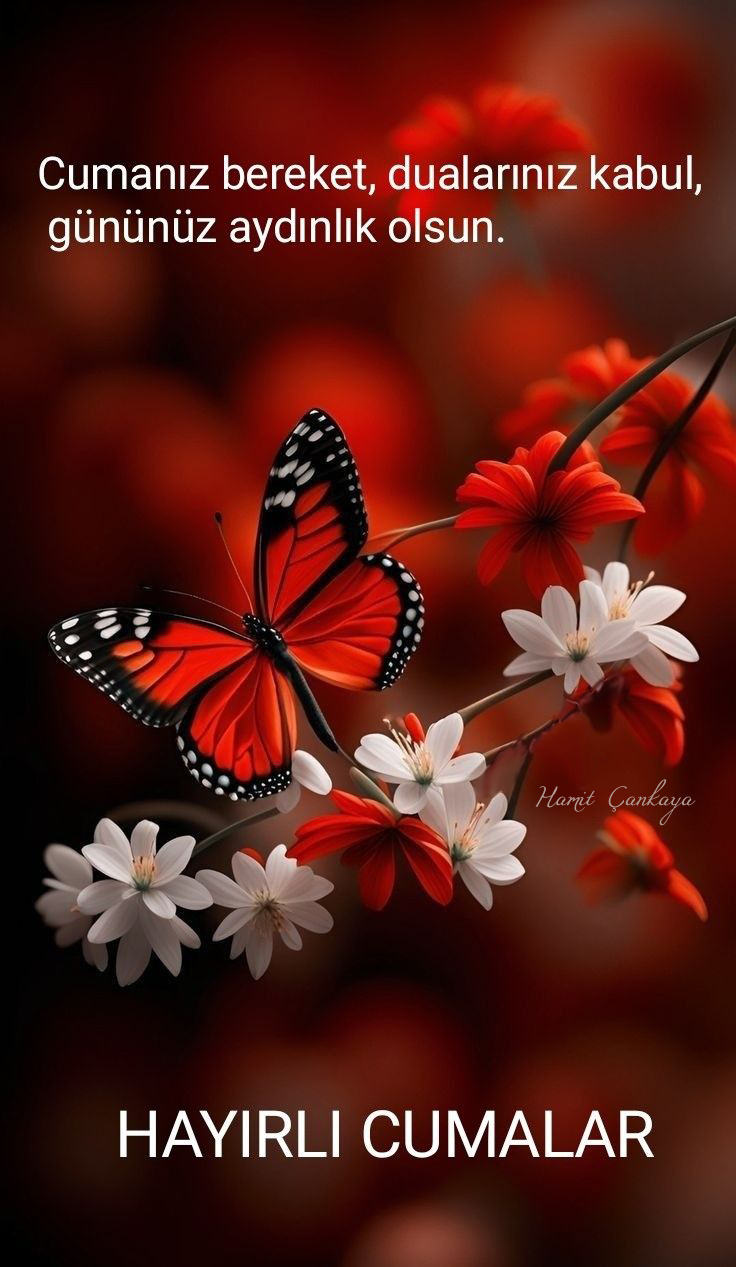 hayırlı cumalar